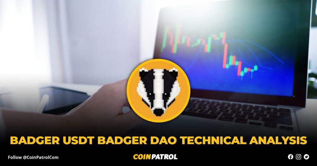 BADGER USDT Badger DAO Technical Analysis